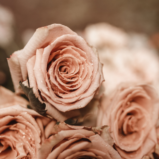 Bohemian Rose Candle