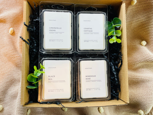 Wax Melt Set 4-pack Summer Scented  (Version 1)