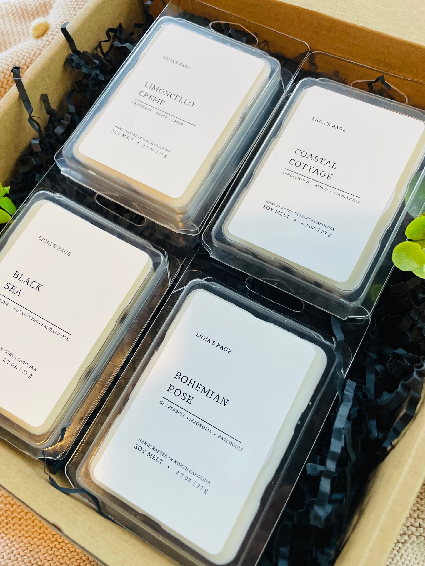 Wax Melt Set 4-pack Summer Scented  (Version 1)