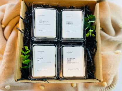 Wax Melt Set 4-pack Summer Scented  (Version 1)