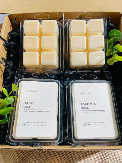 Wax Melt Set 4-pack Summer Scented  (Version 1)