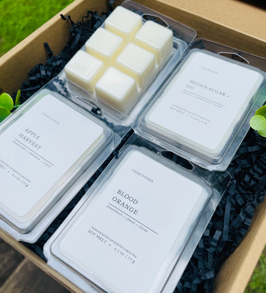 Wax Melt Set 4-pack Summer Scented  (Version 2)